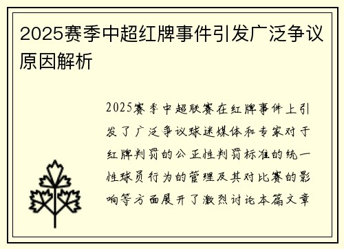 2025赛季中超红牌事件引发广泛争议原因解析