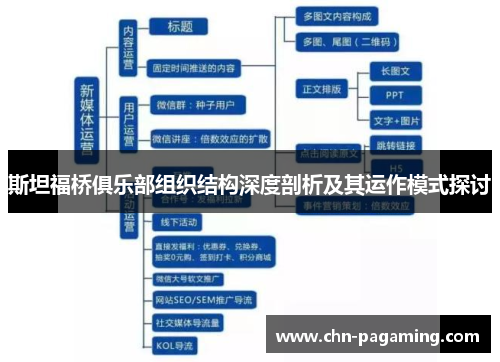 斯坦福桥俱乐部组织结构深度剖析及其运作模式探讨
