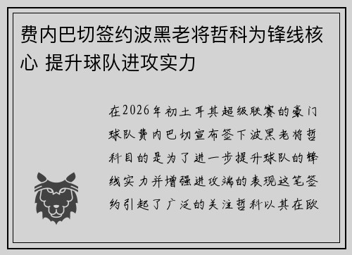 费内巴切签约波黑老将哲科为锋线核心 提升球队进攻实力 费内巴切签约波黑老将哲科为锋线核心 提升球队进攻实力